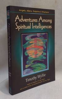 Adventures Among Spiritual Intelligences: Angels  Aliens  Dolphins & Shamans