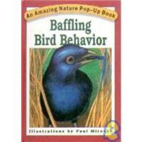 Baffling Bird Behavior (An Amazing Nature Pop-Up Book) - 