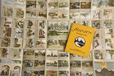 [Spel] Skansen. Familjespel.