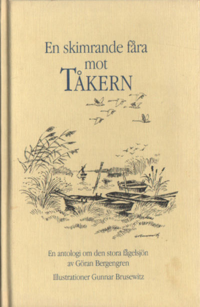 EN SKIMRANDE FÅRA MOT TÅKERN.