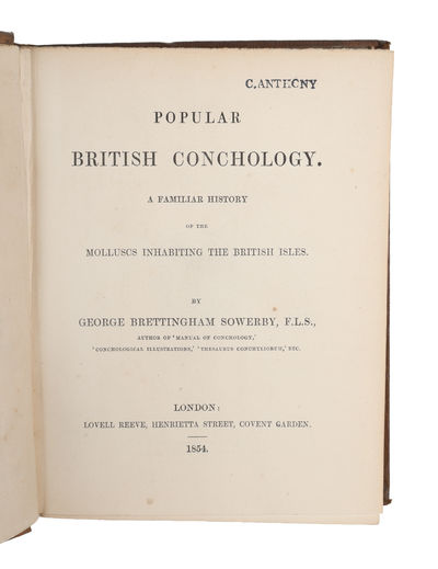 Popular British Conchology. A Familar History of…