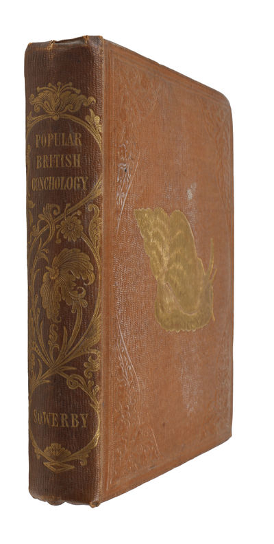 Popular British Conchology. A Familar History of the Molluscs inhabiting the British Isles. (photo 2)