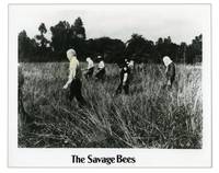 The Savage Bees (Collection of 8 photographs from the 1976 film)