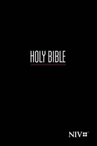 Compact Bible-NIV