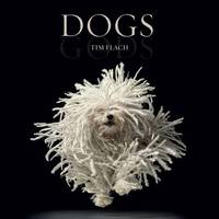 Dogs / Gods: Gods