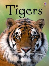 Tigers IR