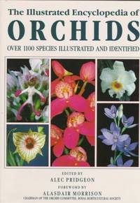 The Illustrated Encyclopedia of Orchids: Over 1100 Species Illustrated and Identified