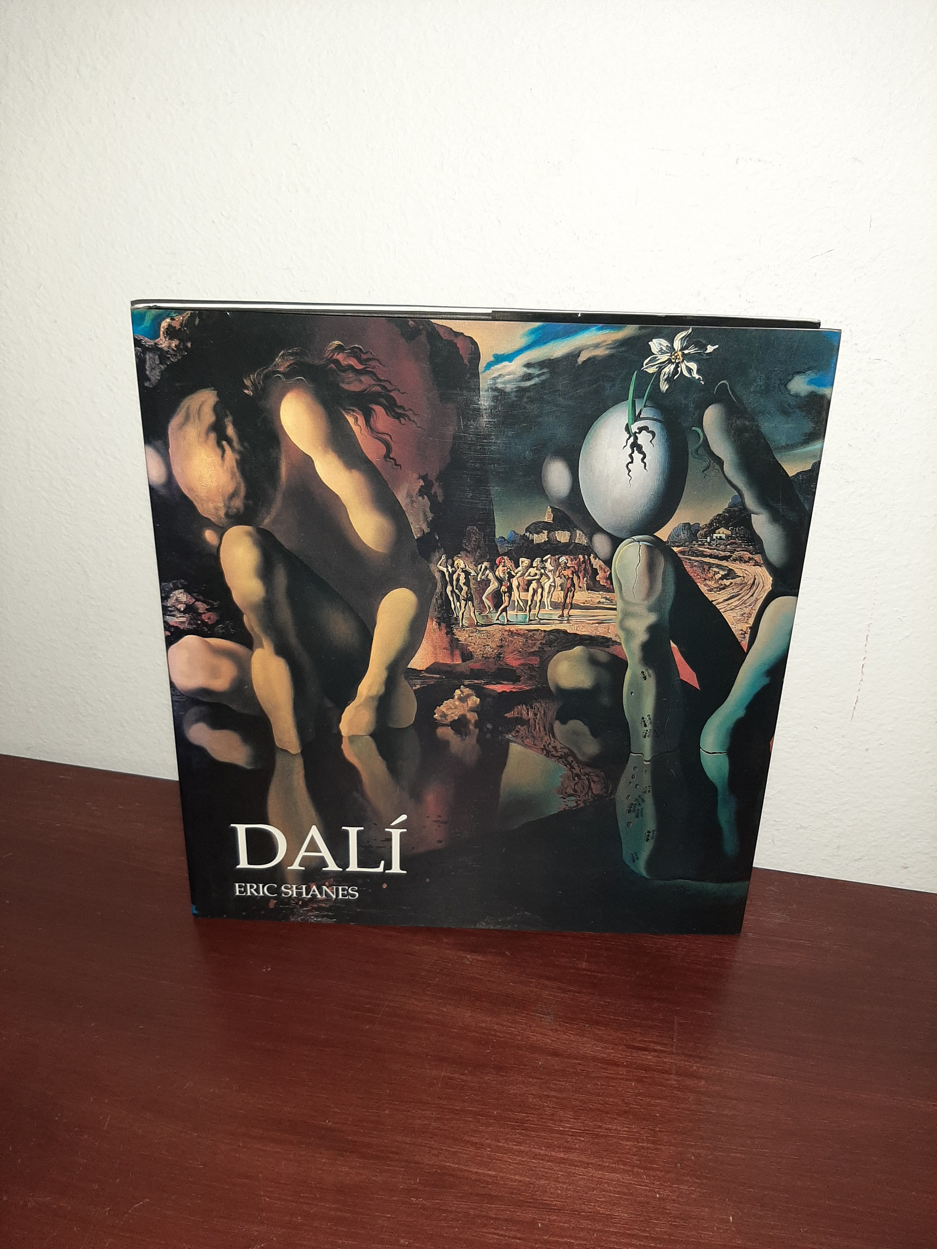え*ん様 DALI【美品　洋書】 Dali by Eric Shanes | Hardcover | 1994 | Studio Edns