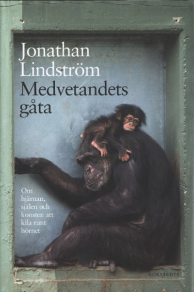 MEDVETANDETS GÅTA. Om hjärnan, själen och konsten…