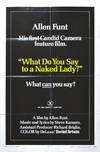 What Do You Say to a Naked Lady (Original poster for the 1970 film)
