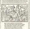 P. Ouidii Nasonis Metamorphoseon libri XV. Raphaelis Regii Volaterrani luculentissima explanatio, cum nouis alterius viri eruditissimi additionibus. Lactantii Placiti in singulas fabulas arguments, eruditissimorum virorum Coelii Rhodigini, Ioan. Baptistae Egnatii, Henrici Glareani, Giberti Longolii, & Iacobi Fanensis in pleraque omnia loca difficiliora annotations. Omnia nunc postremo à multis erroribus & mendis purgata, summaq[ue] cura excusa. Cum indice rerum memorabilium ac fabularum omnium, quae libris singulis continentur