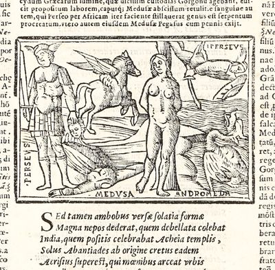P. Ouidii Nasonis Metamorphoseon libri XV. Raphaelis Regii Volaterrani luculentissima explanatio, cum nouis alterius viri eruditissimi additionibus. Lactantii Placiti in singulas fabulas arguments, eruditissimorum virorum Coelii Rhodigini, Ioan. Baptistae Egnatii, Henrici Glareani, Giberti Longolii, & Iacobi Fanensis in pleraque omnia loca difficiliora annotations. Omnia nunc postremo à multis erroribus & mendis purgata, summaq[ue] cura excusa. Cum indice rerum memorabilium ac fabularum omnium, quae libris singulis continentur