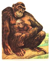 Gamble Gorilla ... who was so lonesome