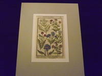 Paradisi in Sole Paradisus Terrestris or, Garden of All Sorts of Pleasant Flowers…