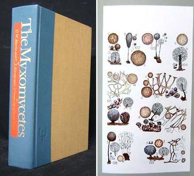 The Myxomycetes.