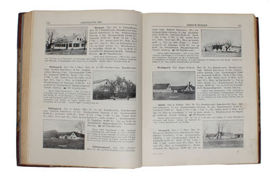 Danske Gaarde i Tekst og Billeder. 4 Bd. (photo 7)
