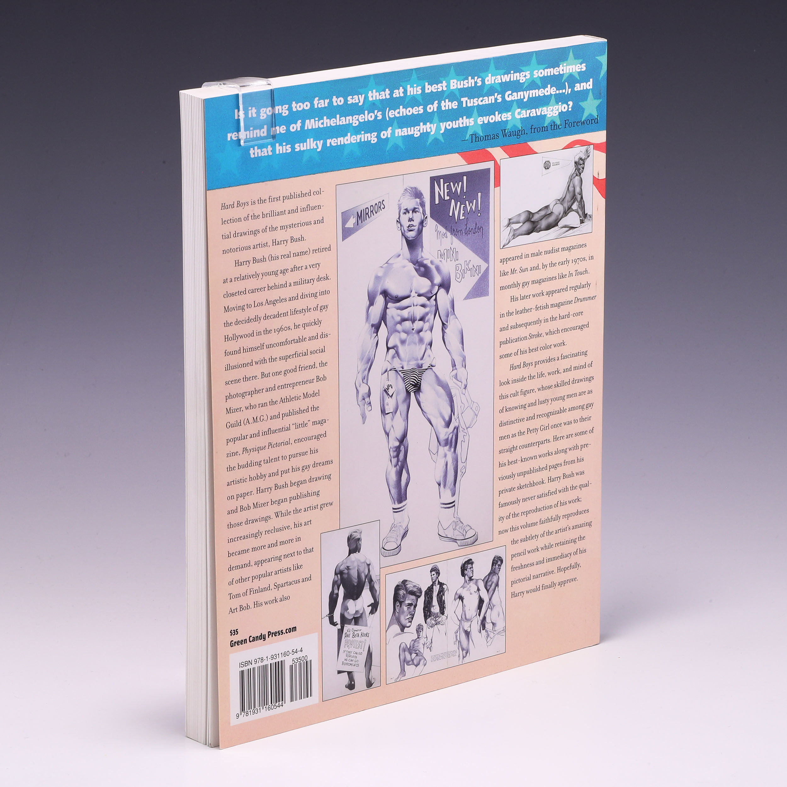 Hard Boys by Harry Bush | Softcover | 2007 | Green Candy Press