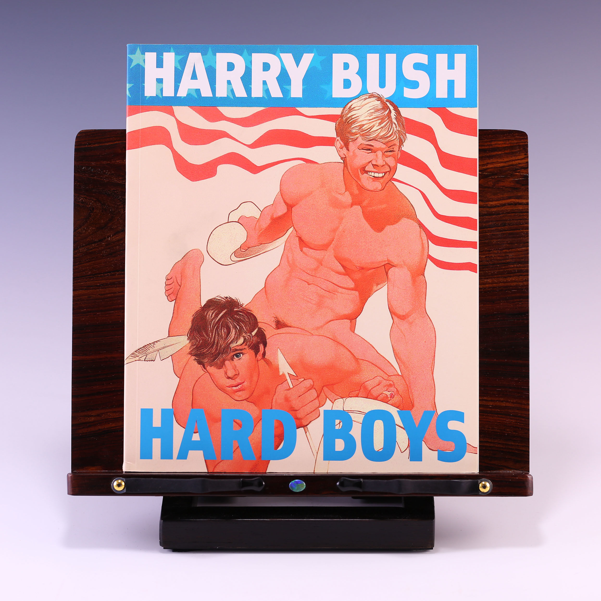 Hard Boys by Harry Bush | Softcover | 2007 | Green Candy Press 
