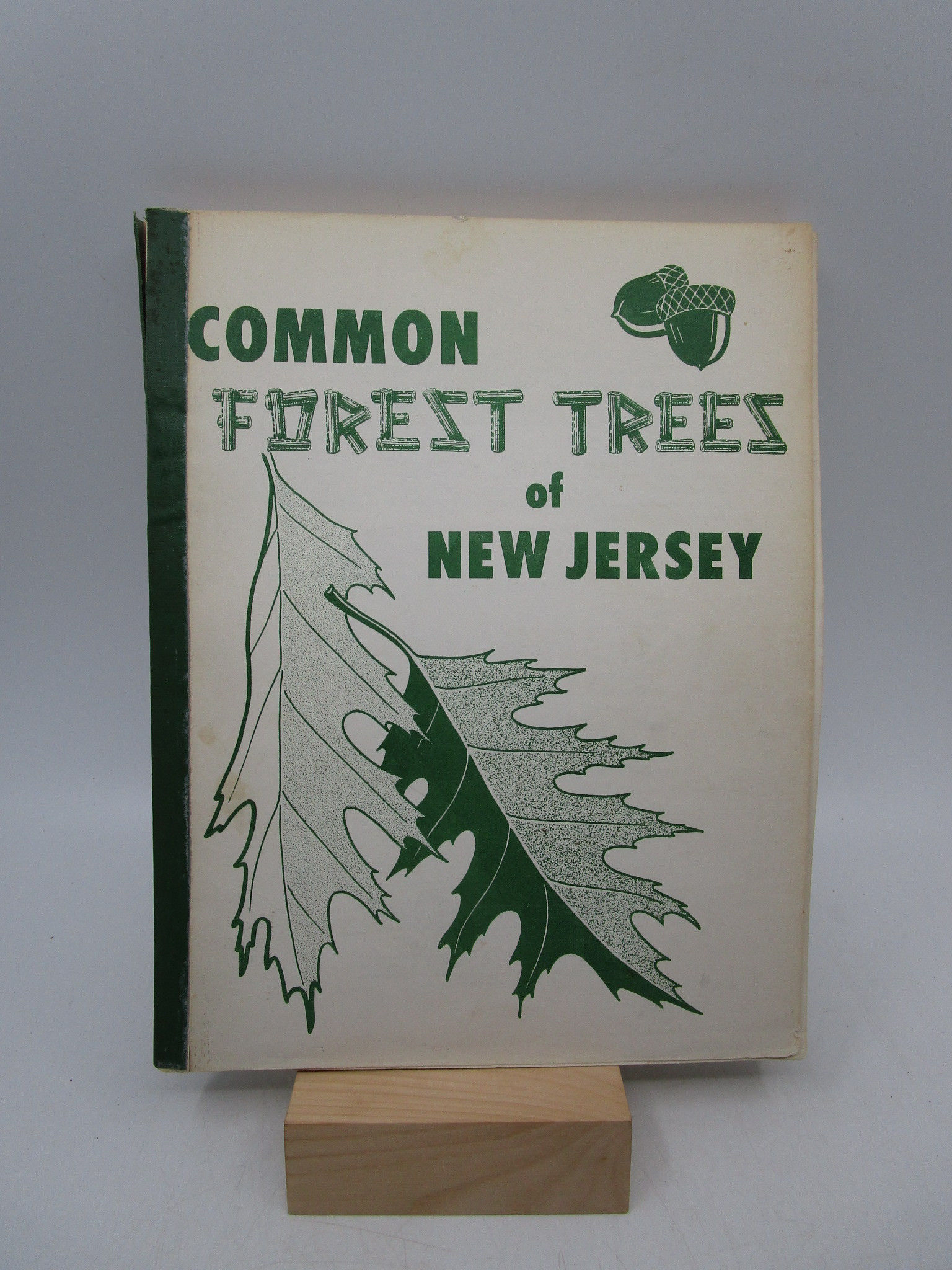 Common Forest Trees of New Jersey Extension Bulletin 396 by Austin N