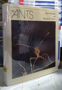 The Ants by Holldobler, Bert and Edward O. Wilson - 1990