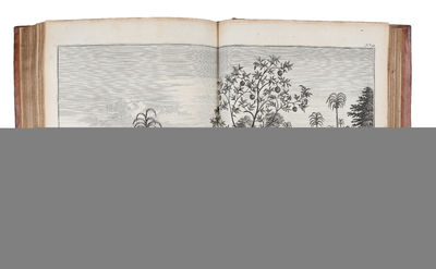 Voyage autour du Monde, fait dans les Années MDCCXL,I,II,III,IV.... dans la Mer du Sud. Tiré des Journaux & autres Papiers de ce Seigneur, & publié par Richard Walter... Orné des Cartes & des Figures en Taille douce. Traduit de Anglois. (photo 7)