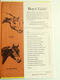 The Island Stallion by Farley, Walter - 1948