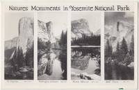 Natures Moments in Yosemite National Park, RPPC Real Photo unused Postcard