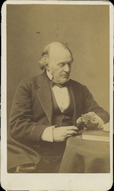 Carte-de-Visite Portrait of Wendell Phillips, c. 1871-1874