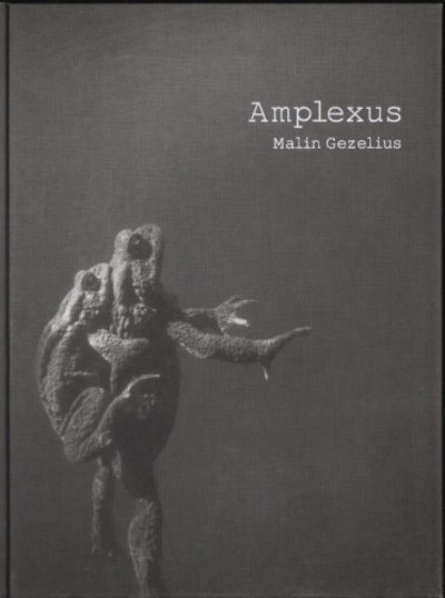 AMPLEXUS.