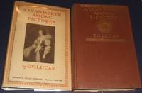 cover of A Wanderer Among Pictures