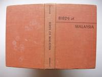 Birds Of Malaysia