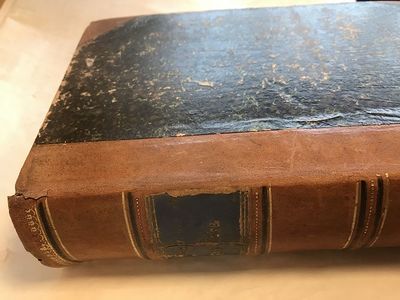 Norges flora eller Beskrivelser over de i Norge…