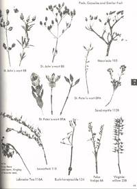 The Shrub Identification Book : The Visual Method for the Practical Identification of Shrubs,...