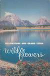 Yellostone and Grand Teton Wildflowers