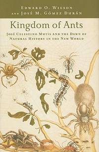 image of Kingdom of Ants