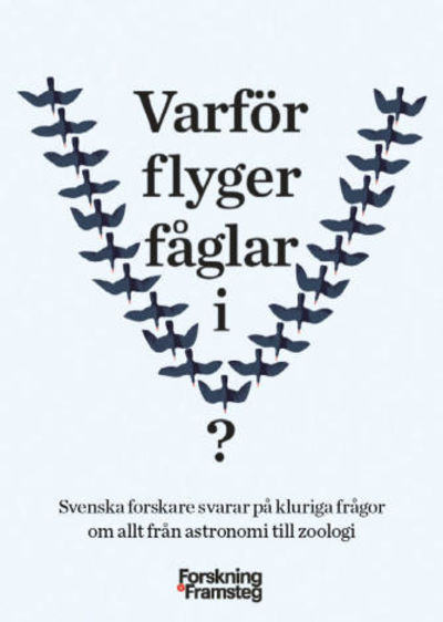 Varför flyger fåglar i V? Svenska forskare svarar…