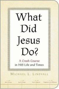 What Did Jesus Do? : A Crash Course in His Life and Times