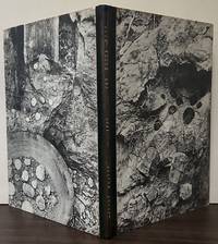 Ten More Poems