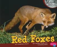 Red Foxes (Nocturnal Animals)