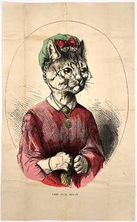 The Old Maid" -- Victorian Cat Lady Portrait Vinegar Valentine