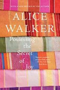 image of Possessing the Secret of Joy: A Novel