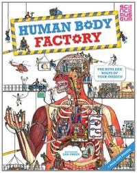The Human Body Factory: A Guide To Your Insides