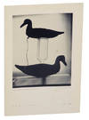 Aperture Vol 6 No. 3