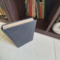 cover of A Ripple From the Storm