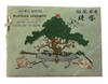 Japanese Customs. Marriage Ceremony. Sixteen Assorted. Coloured by Hand [title on envelope]