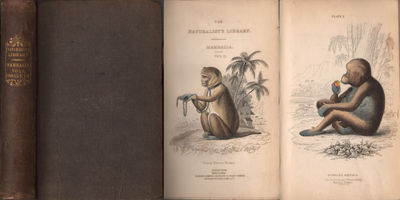 THE NATURAL HISTORY OF MONKEYS. The Naturalist's…