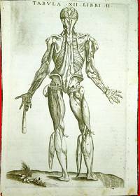 Anatomia del corpo humano nuovamente ristampata e con l