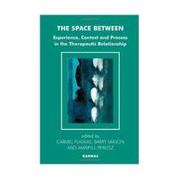 The Space Between: Experience, Context And Process In The Therapeutic Relationship