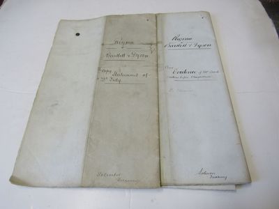 Two Manuscripts Regina V Bartlett-Dyson