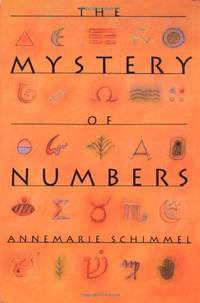 The Mystery of Numbers (Oxford Paperbacks)